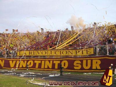 REVOLUCION VINOTINTO SUR