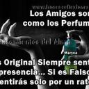 Lily Torres - @LilyTor91957680 - Twitter