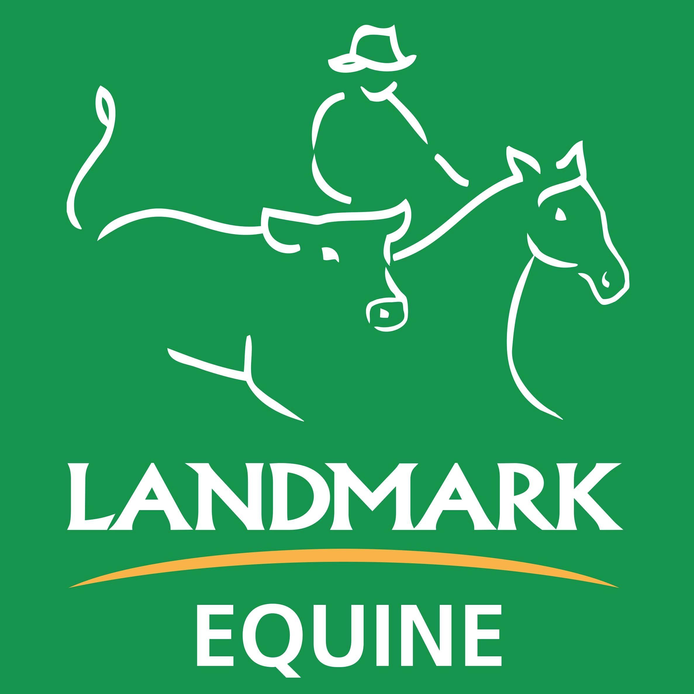 We ARE the Leaders in Equine Sales in Australia. Our team don't just serve your business and passion, we live it ourselves.