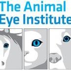 Board certified veterinary ophthalmologists, specializingin animal eye diseases. Located in Cincinnati and Dayton (Ohio), Florence (Kentucky), Charleston (SC).