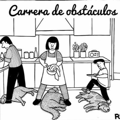 ivan14mtz's profile picture. 