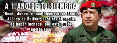 REVOLUCIONARIA MILITANTE ACTIVO PSUVISTA. CHAVISTA+