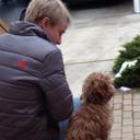 Sam Dillon - @Sam_Dillon45 - Twitter