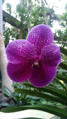 MayersAlicia's profile picture. Elementary Teacher. #TeachNVACS Ambassador #CoreAdvocate. East Coast Transplant. Wife. Mother. Cat Lover.