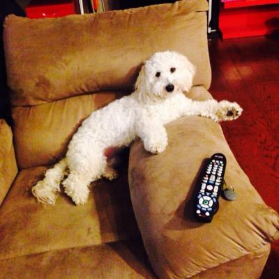 omgeecpa's profile picture. 