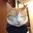 login_c's profile image