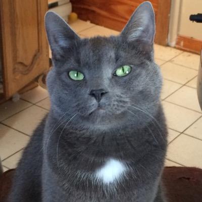 angeperdue's profile picture. Let rock runs trought your veins and make you come alive.
Music will never let you down,so just keep on listening it