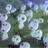 7_china_'s profile image