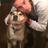 max_letendre's profile image