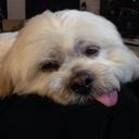 Sandra Warner - @sandra_m_warner - Twitter