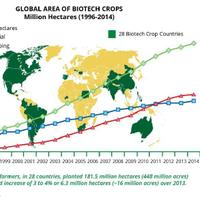 First Officer 🇺🇦 🇮🇱 (((Space Laser Force))) (@erst_officer) 's Twitter Profile