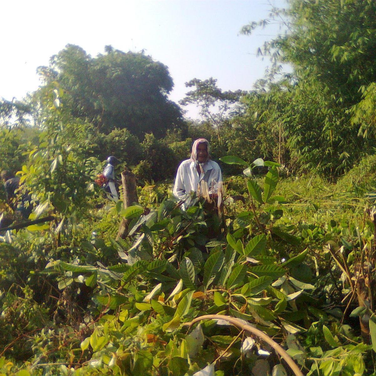 amirmelor's profile picture. 