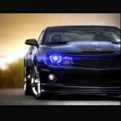 MuscleMotorCars's profile picture. 