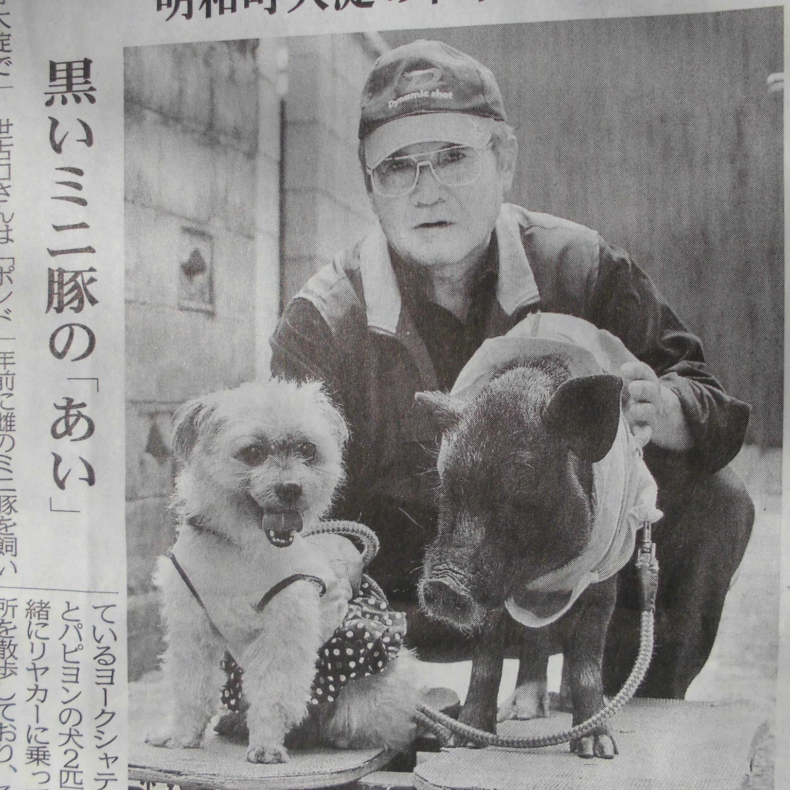 いつき 鮎原 安住涼子