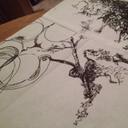 Carrie Kohl - @CarrieAnnGoff - Twitter