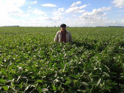 Productor agropecuario, amante de la libertad.
