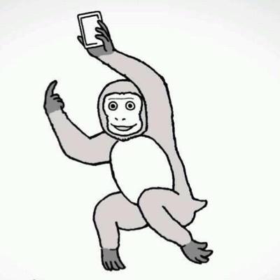 tunsyukatsu's profile picture. 大阪の大4就活生です。情報交換用！