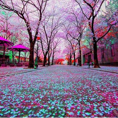 وهل تنمو زهور الياسمين دون ماء وشمس حانيه @طفلك ثروه بين يديك ..