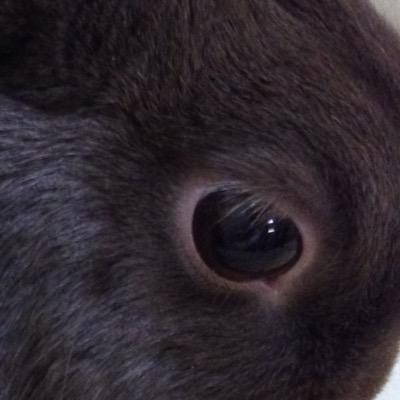 日常生活からプレイ中のゲームまで気儘に。割と適当に呟いてます。主にPSO2のSS垂れ流す時がありますのでご注意を。PSO2：Ship6  Qe所属　艦これ：ラバウル基地　FF14：Tiamat鯖 Syeska Zeibel 城プロ：3-3レベリング中