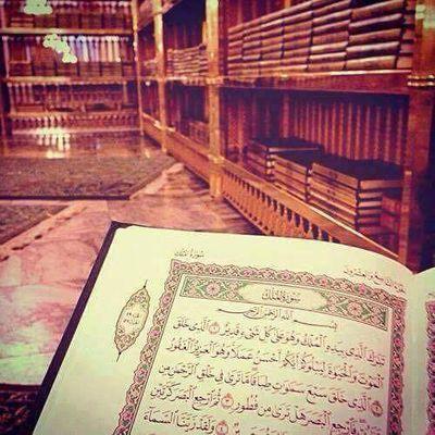 Al 'lim an nur