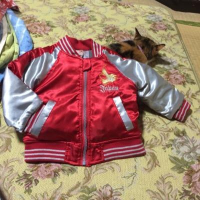 お買い物に旅行にお酒に美容に、浪費が趣味の20代♡