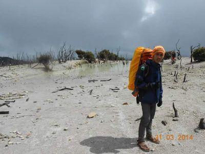 bf4f77238f5140c's profile picture. 