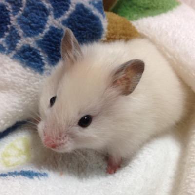 喰わせろ。骨まで