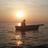 RohanShah31's profile image