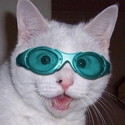 tetugakuapuri's profile picture. 色々な方面から、なるべく面白くアプリをレビューします。哲学的って書いてあるけど、哲学の知識はほぼありません（ある意味哲学）。主観満載だけど気に入ったらフォローしてね☆