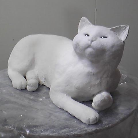 猫祭り Festival Cat Twitter