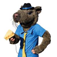 Kevin Water Rat  (@kevinwaterrat) 's Twitter Profile