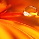 ali alkhateeb - @ali18459489 - Twitter