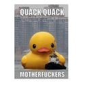 Aron fox - @NorafoxinfoAron - Twitter