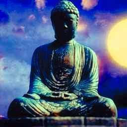 Find your path to enlightenment
