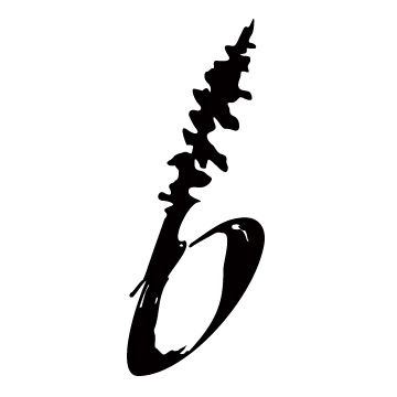 borealebiking's profile picture. 