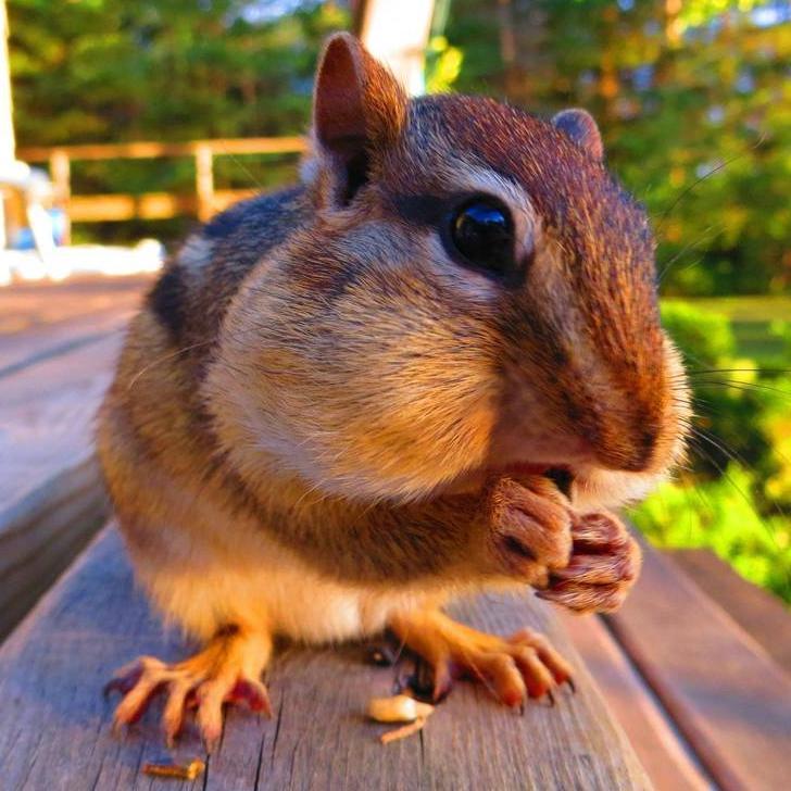 neil_rimmer's profile picture. 