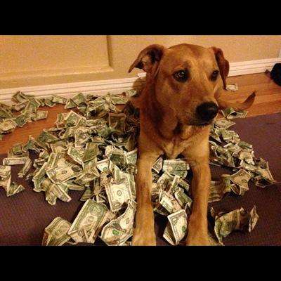 Do you have a dog? Do you have some money? Prove it by tweeting me your pictures!
Inspired by @CatsAndMoney