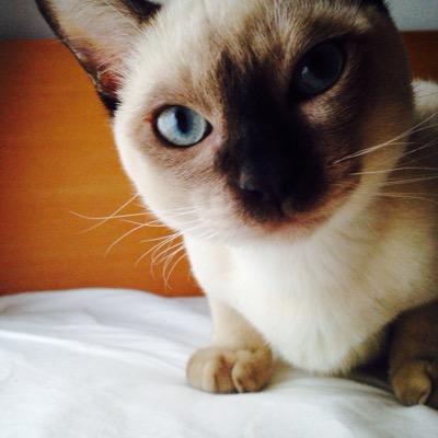 うた&ひなた?ルブたんのプロフィール写真
