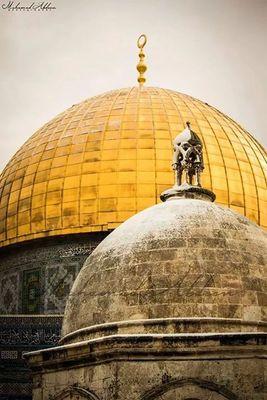 ‏‏‏اللهم صل وسلم وبارك علي سيدنا محمد وعلي آله وصحبه وسلم***البخيل من ذكرت عنده فلم يصل علي