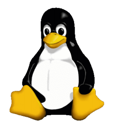 footeprint's profile image