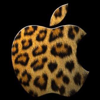 brythechu's profile picture. 好き シルバーアクセサリ〜-barbie-brythe-chupachups-yamato-miyaji-rody-caprimenthol-ひとり映画-soymilk love❤️…etc