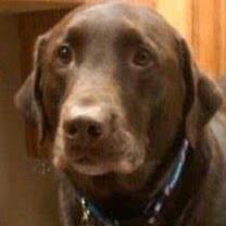 549f637201054eb's profile picture. 