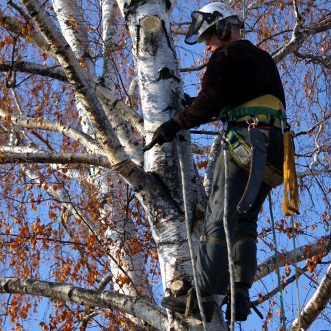 We are Bonded & Insured and have been maintaining commercial and residential properties since 2001 Call us now (215) 606-3508