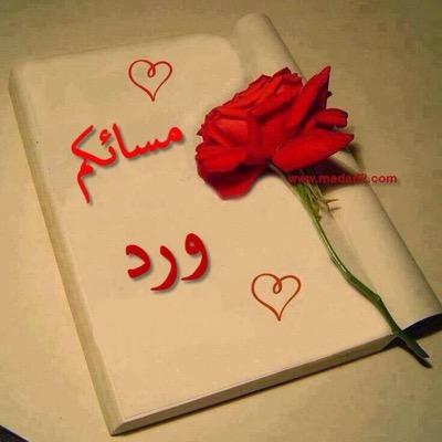 اذا خاطبك الجاهلون فقل سلاماااا✋