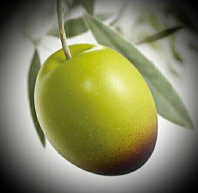 Emiol07's profile picture. Migration and airports. Home FCO and AMS.