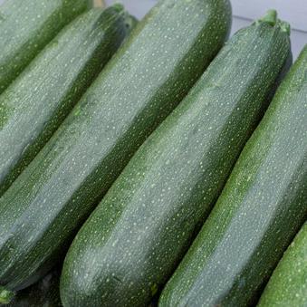 beegdenhofhunse's profile picture. 