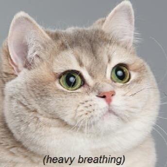 otiakukang's profile picture. *slams doors and drops books*