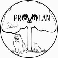 Provolan (@provolan) 's Twitter Profile