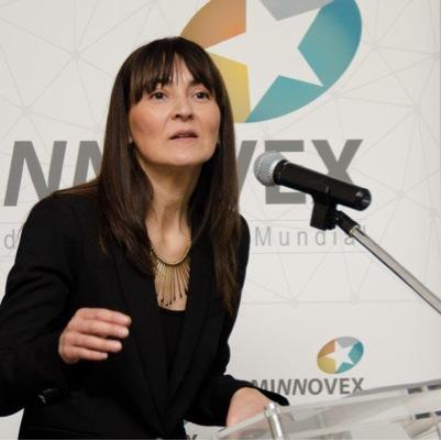 Gerente General de MINNOVEX AG