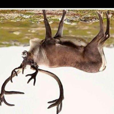 danielemodina89's profile picture. 